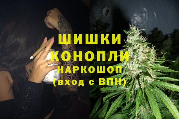 мдпв Новодвинск