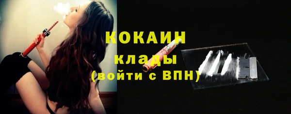 спайс Нея