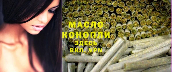 шишки Новозыбков
