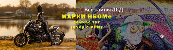 стафф Нефтегорск