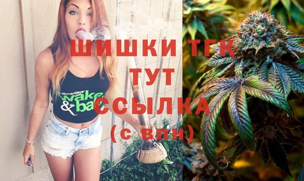 шишки Новозыбков