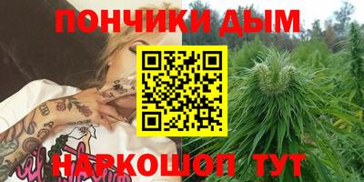 амф Гатчина