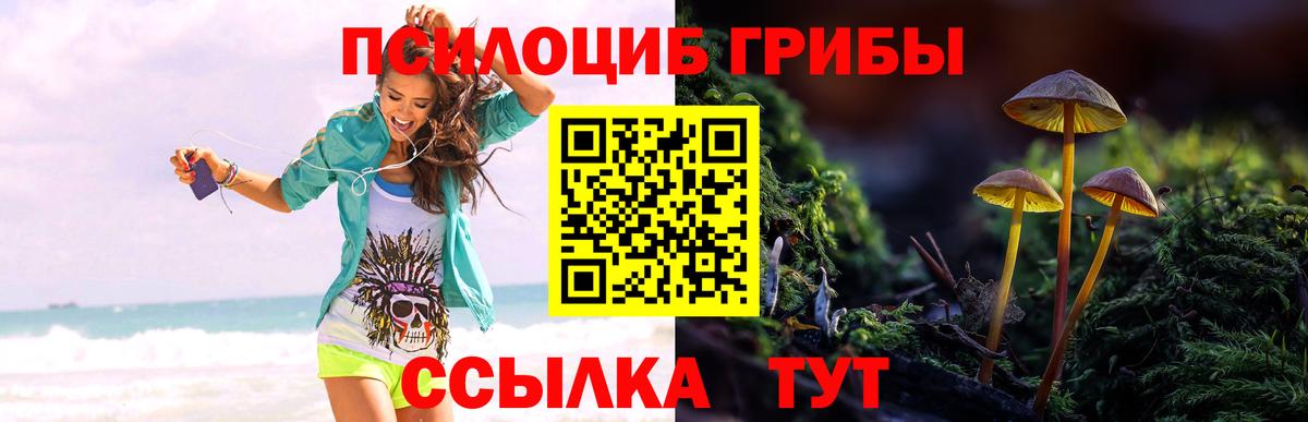 Касимов  Галлюциногенные грибы GOLDEN TEACHER  Галлюциногенные грибы мухоморы  Вход с VPN 